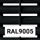 RAL 9005